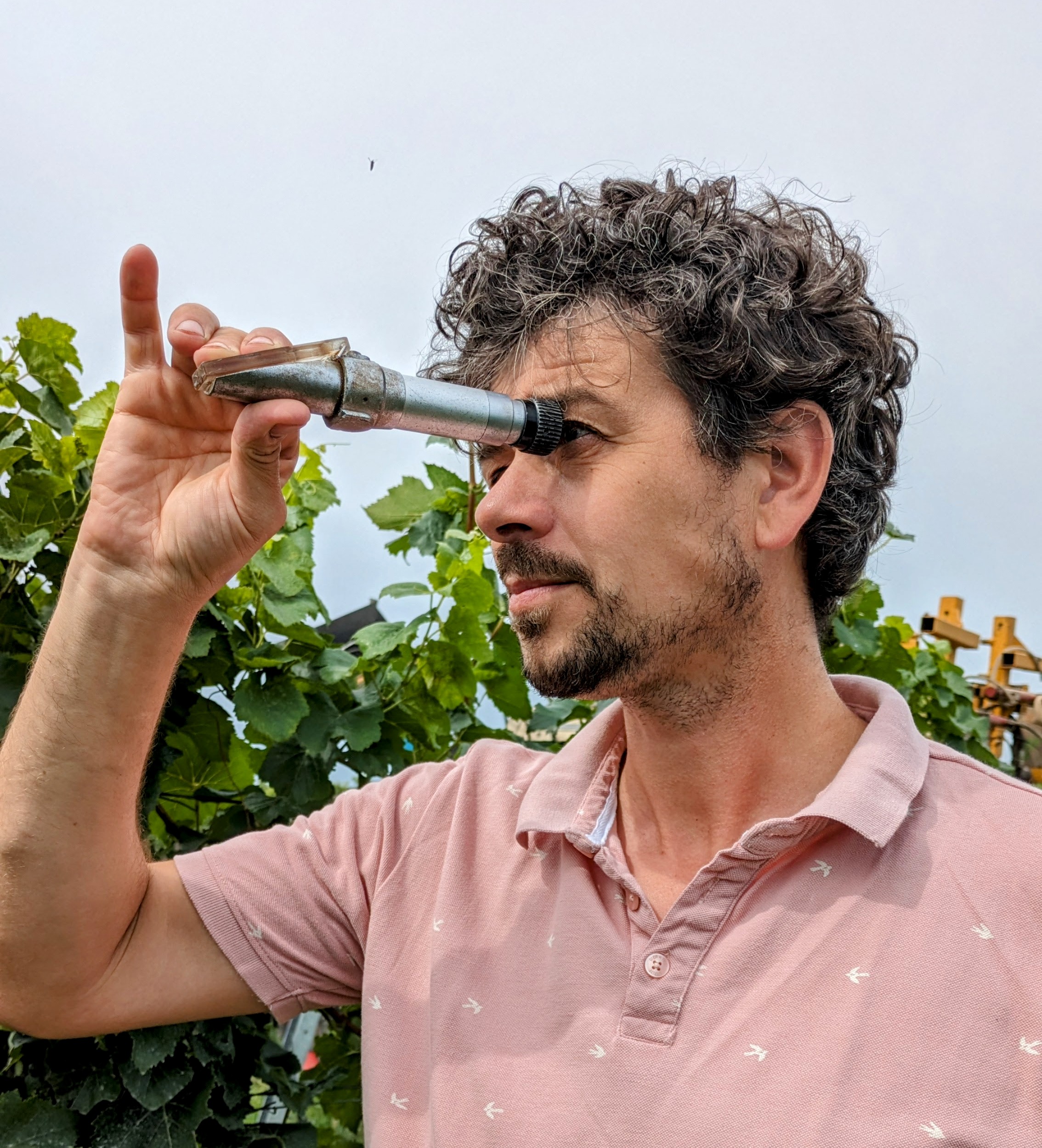 Weingut am Kaiserbaum
